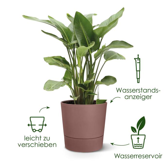greensense aqua care rund 43cm lehmbraun